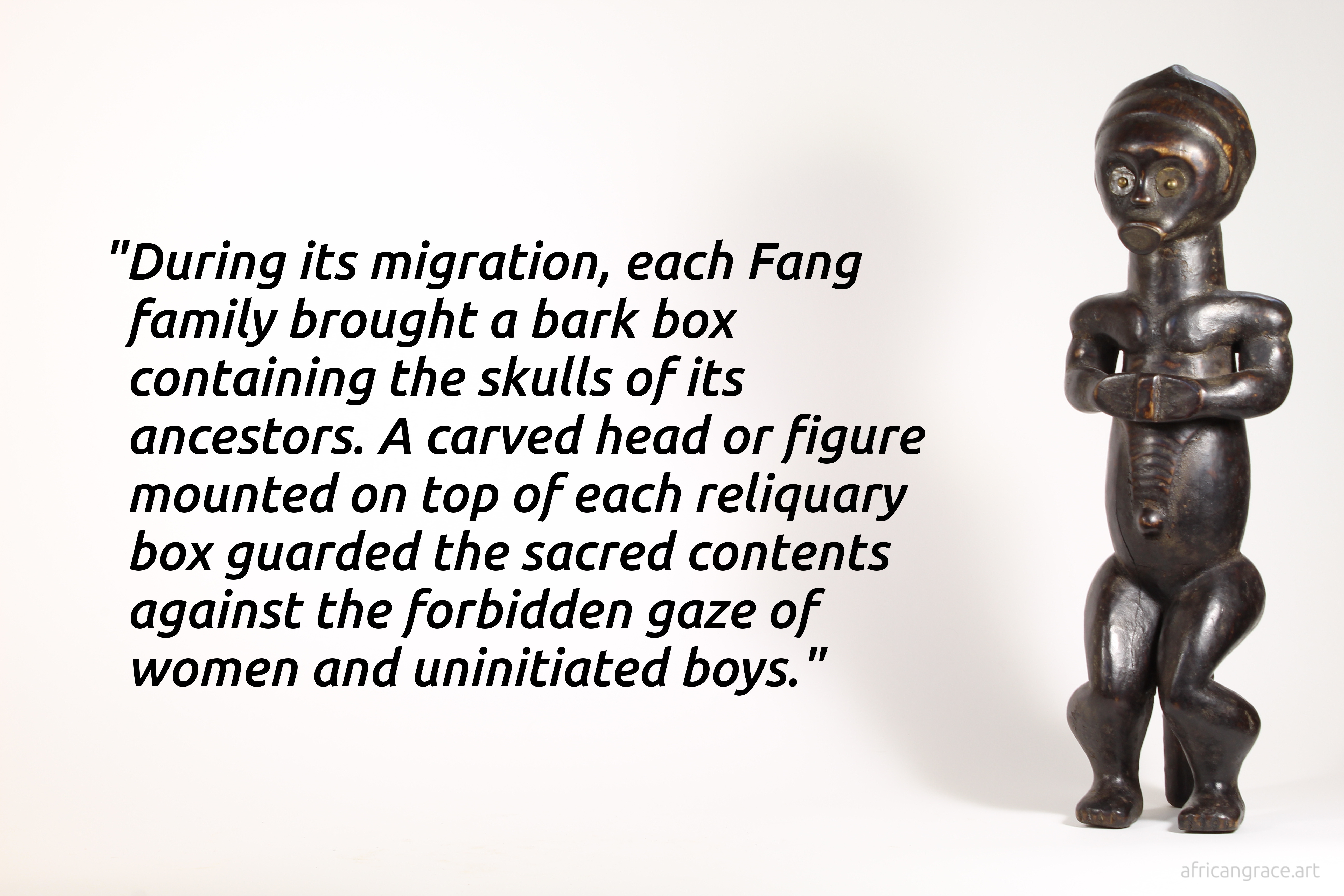Fang byeri betsi figure left front view with text "During its travels, each Fang family brought a bark box containing the skulls of its ancestors. A carved head or figure mounted on top of each reliquary box guarded the sacred contents against the forbidden gaze of women and uninitiated boys."